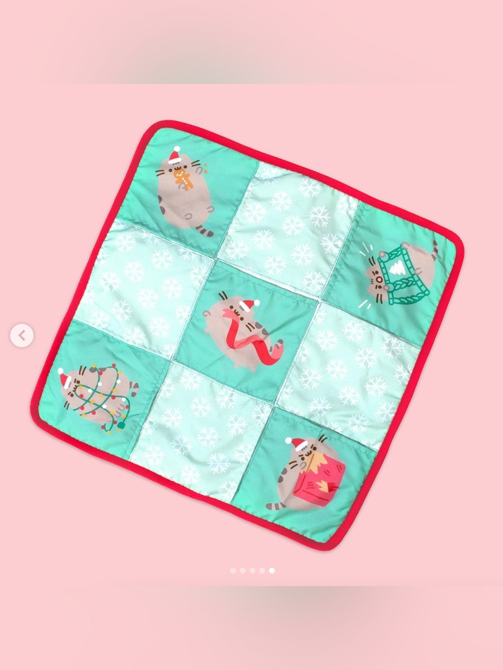 Pusheen Holiday Cat Play Mat - Mint Green with Red Trim